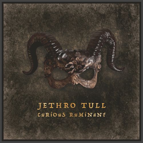 Jethro Tull - Curious Ruminant - LP