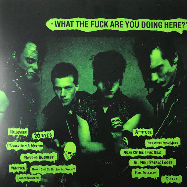 Misfits - If You Don't Know This Song... - LP