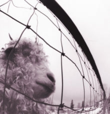 Pearl Jam - Vs. (Remastered) - LP