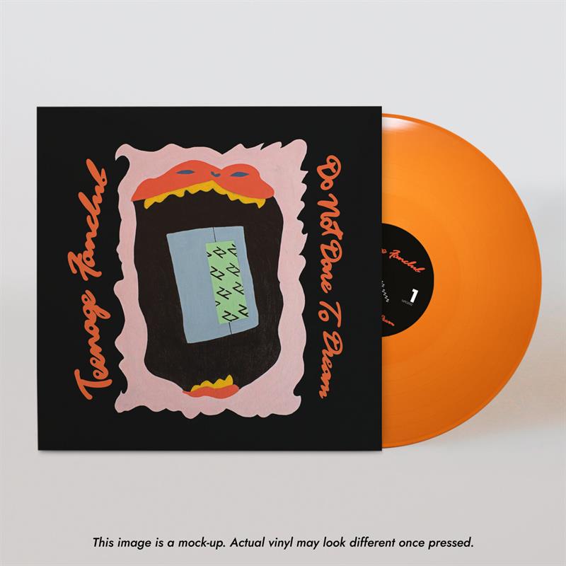 Teenage Fanclub - Do Not Dare To Dream - LP - Color
