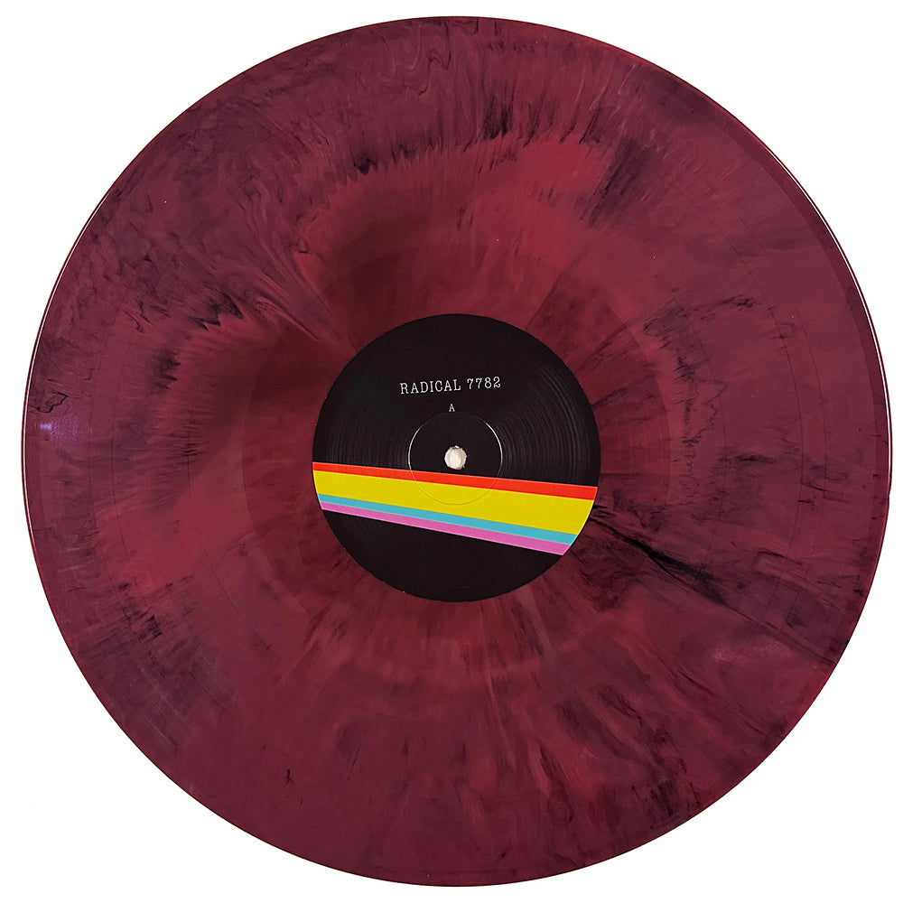 PINK FLOYD LP The Dark Side Of The Moon DEMO (Purple Marbled Coloured Vinyl)