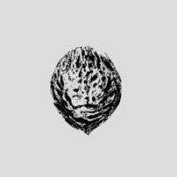 Black Lips - Bebop Armageddon (Detours & Offcuts From Season - LP