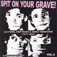 Various - I Spit On Your Grave Vol.2 - CD