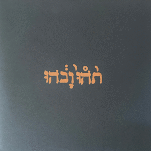 Godspeed You! Black Emperor - Slow Riot For New Zero K - LP