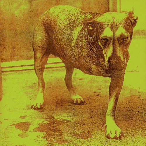 Alice In Chains - Alice In Chains - CD - CD Muy Buen Estado / Portada Muy Buen Estado (VG+/VG+)