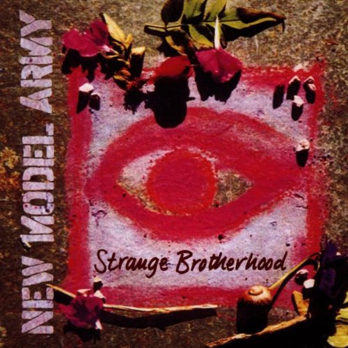 New Model Army - Strange Brotherhood - CD - Digipak - CD Muy Buen Estado / Portada Muy Buen Estado (VG+/VG+)