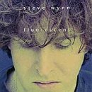 Steve Wynn - Fluorescent - CD - CD Muy Buen Estado / Portada Muy Buen Estado (VG+/VG+)