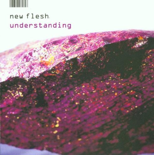 New Flesh - Understanding - CD - CD Muy Buen Estado / Portada Muy Buen Estado (VG+/VG+)