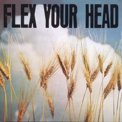Flex Your Head - CD - DISCHORD RECORDS