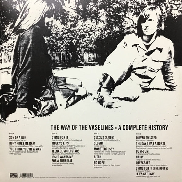 The Vaselines - The Way Of The Vaselines - A Complete History (2xLP, Comp, RE)