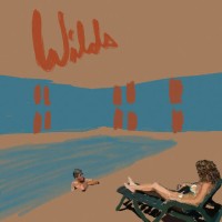 Andy Shauf - Wilds - LP