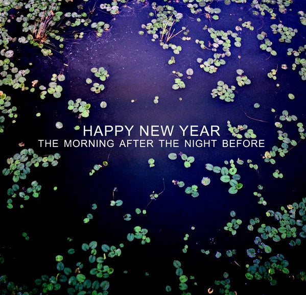 Happy New Year - The Morning After The Night Before - LP