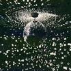 Neil Young - Mirror Ball - CD
