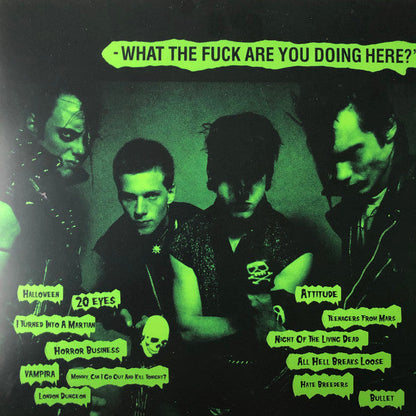 Misfits - If You Don't Know This Song... - LP
