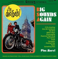 The Decibels - Big Sounds Again - LP