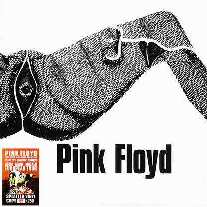 PINK FLOYD 2xLP Hamburg Germany 25.02.1971 (Splatter Multicoloured Numbered)