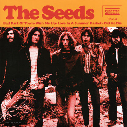 THE SEEDS 2x7" Bad Part Of Town (Record Store Day Exclusive)