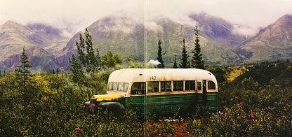 EDDIE VEDDER LP Into The Wild (Pink Coloured Vinyl) + Mega Booklet