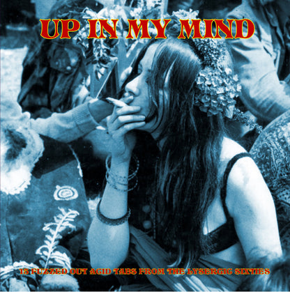 VARIOUS LP Up In My Mind: 15 Fuzzed Out Acid Tabs From The Lysergic Sixties
