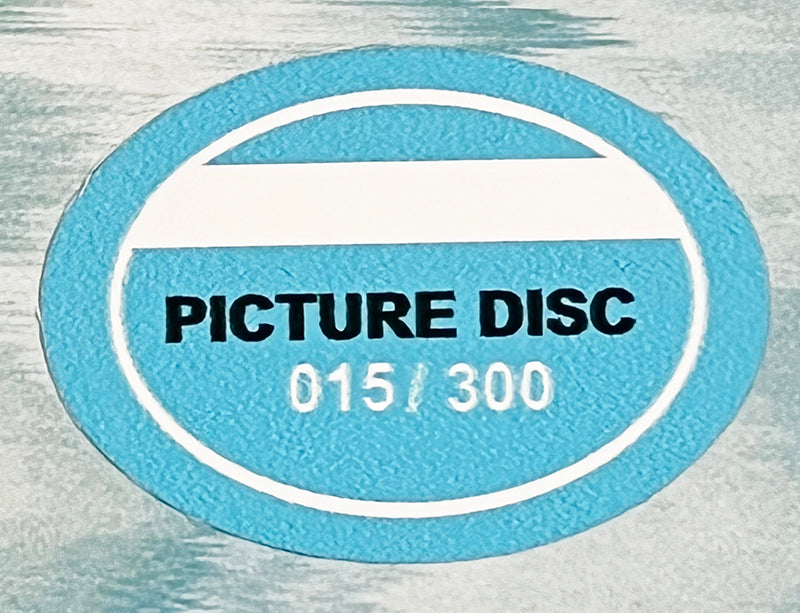 MADONNA LP Ray Of Light 25th Anniversary LIVE Edition (Picture Disc with Cover)