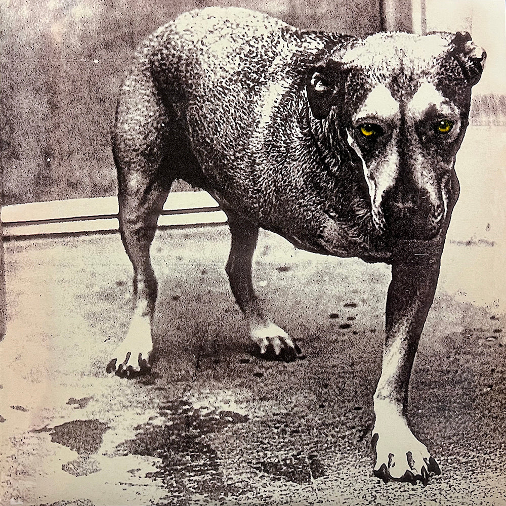 ALICE IN CHAINS 2xLP Alice In Chains (180 Grams Heavyweight Vinyl)