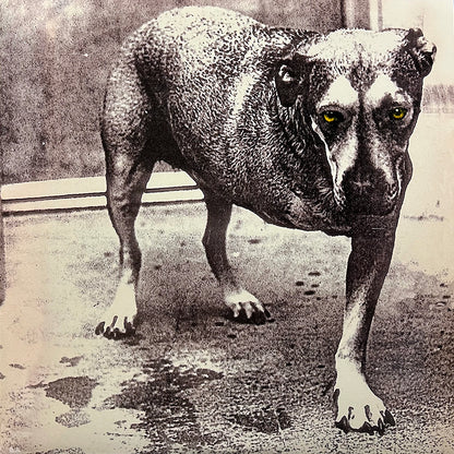 ALICE IN CHAINS 2xLP Alice In Chains (180 Grams Heavyweight Vinyl)