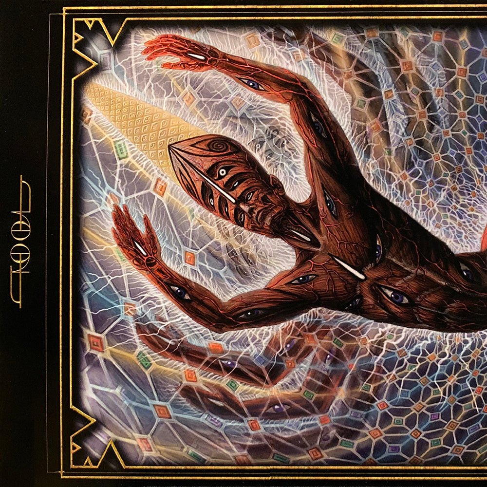 TOOL 2xLP Fear Inoculum (Alternate Skeleton Gatefold Cover)