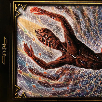 TOOL 2xLP Fear Inoculum (Alternate Skeleton Gatefold Cover)