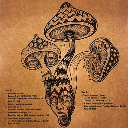 PINK FLOYD LP Lose Your Mind And Find Your Soul (Pure Fungi Music)