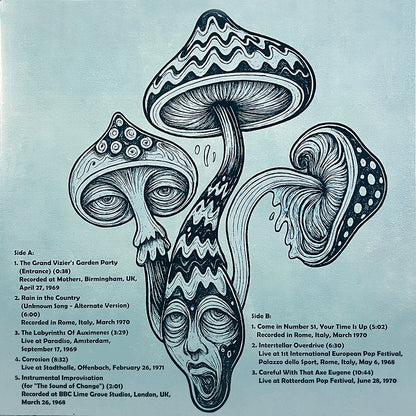 PINK FLOYD LP Lose Your Mind And Find Your Soul (More Fungi Music)