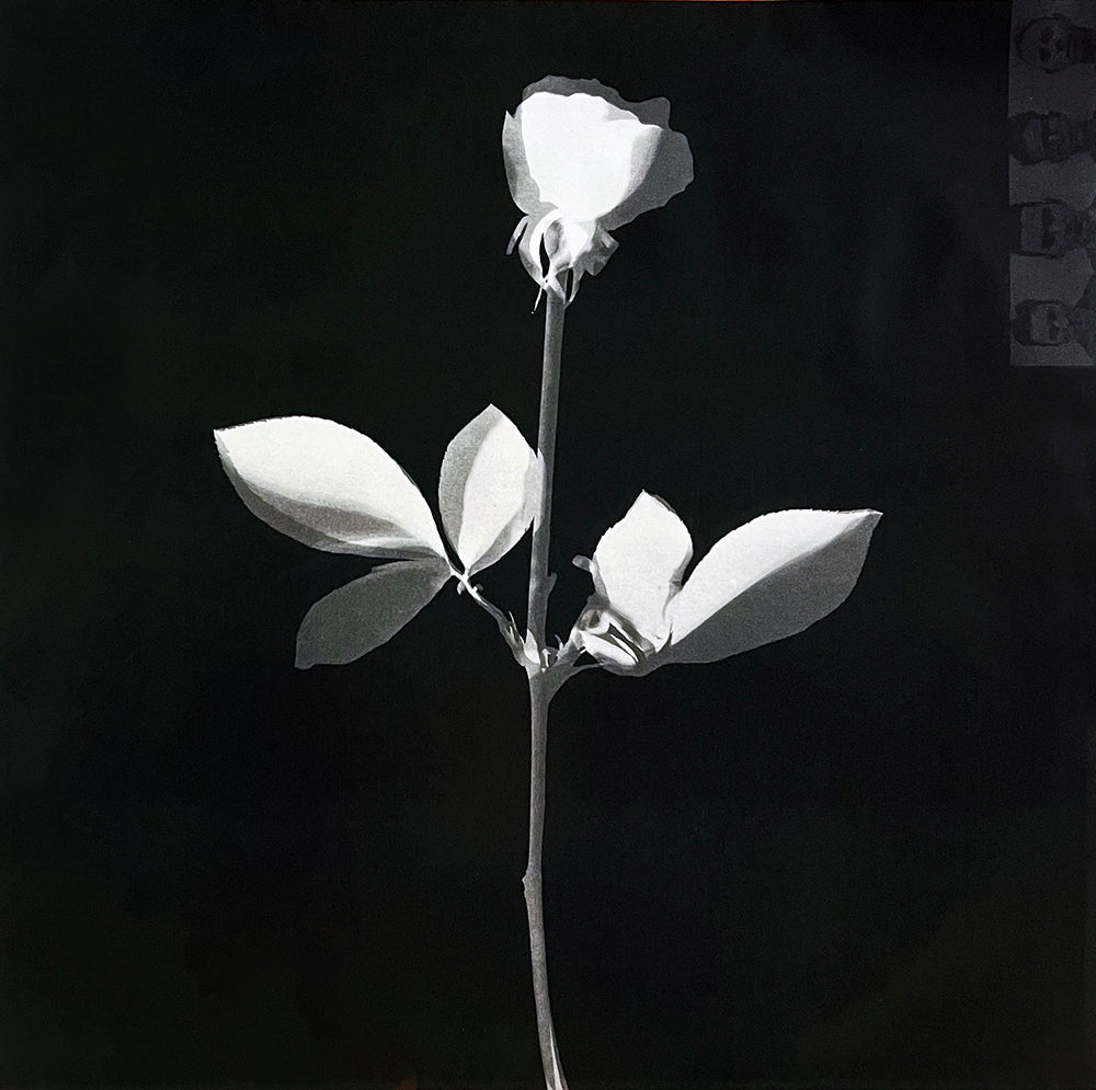 DEPECHE MODE LP Violator (White Coloured Vinyl)