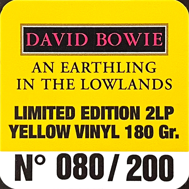 DAVID BOWIE 2xLP An Earthling In The Lowlands (Yellow Coloured Vinyls Numbered)