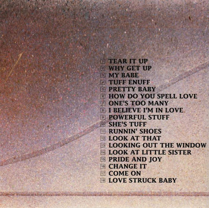 STEVIE RAY VAUGHAN CD Two (Vaughan) Hearts Are Better Than One