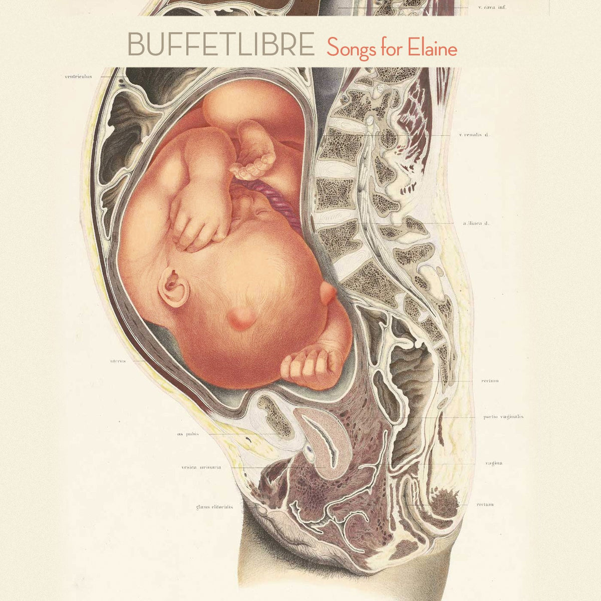 Buffetlibre - Songs For Elaine - CD