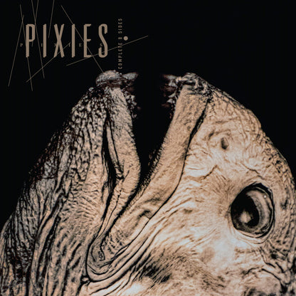 Pixies - Complete B Sides: 1988-97 - 2xLP - Color