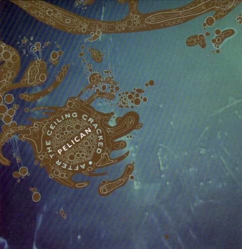 Pelican - After the ceiling cracked - DVD