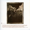 Pixies - Surfer Rosa - LP