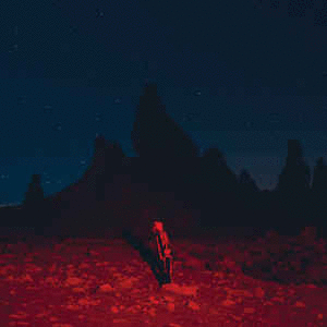Phoebe Bridgers - Punisher - LP