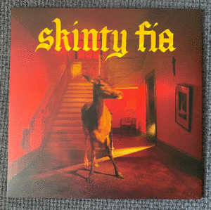 Fontaines D.C. - Skinty Fia - LP