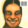 Aphex Twin - I Care Because You Do - LP
