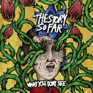The Story So Far - What You Don't See - LP