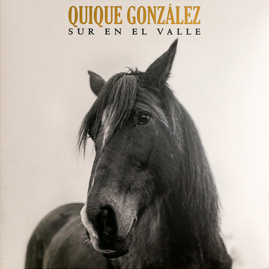 Quique González - Sur En El Valle - LP