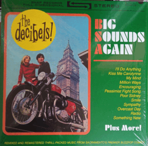 The Decibels - Big Sounds Again (Plus More!) - LP