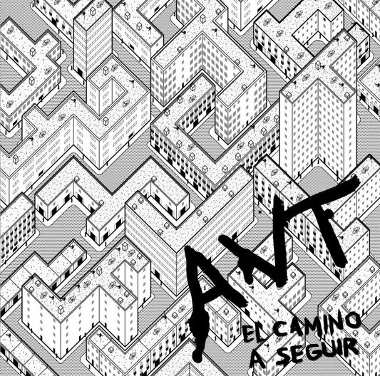AVT - El Camino A Seguir - LP