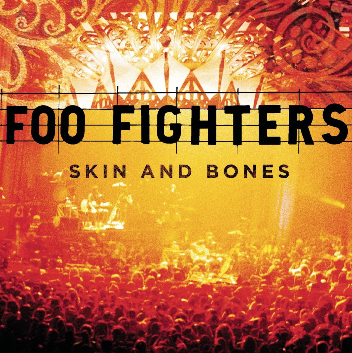 Foo Fighters - Skin And Bones - 2xLP