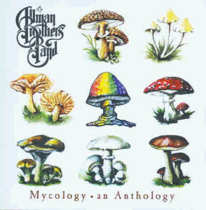 The Allman Brothers Band - Mycology An Anthology - CD - CD Muy Buen Estado / Portada Muy Buen Estado (VG+/VG+)