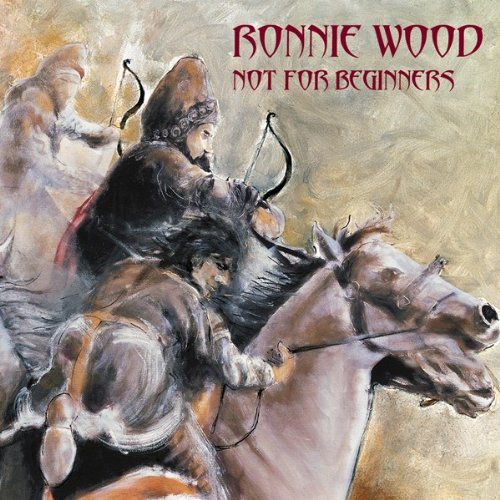 Ronnie Wood - Not for Beginners - CD - CD Muy Buen Estado / Portada Muy Buen Estado (VG+/VG+)