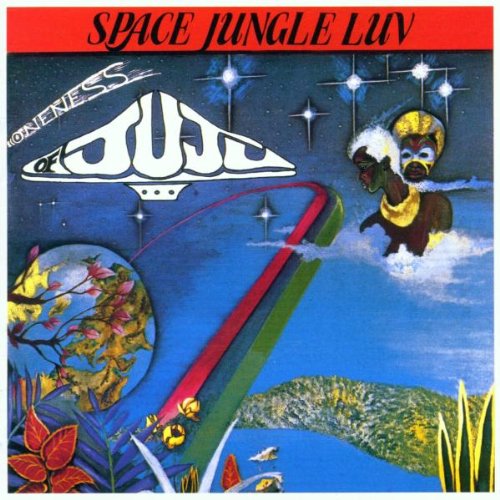 Oneness of Juju - Space Jungle Luv - CD - CD Muy Buen Estado / Portada Muy Buen Estado (VG+/VG+)