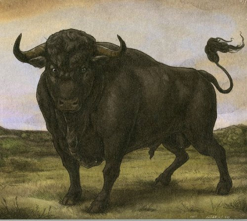 San Fermin - San Fermin - CD - CD Muy Buen Estado / Portada Muy Buen Estado (VG+/VG+)