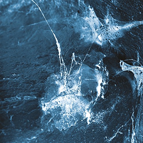 Árstíðir - Hvel - CD - CD Muy Buen Estado / Portada Muy Buen Estado (VG+/VG+)